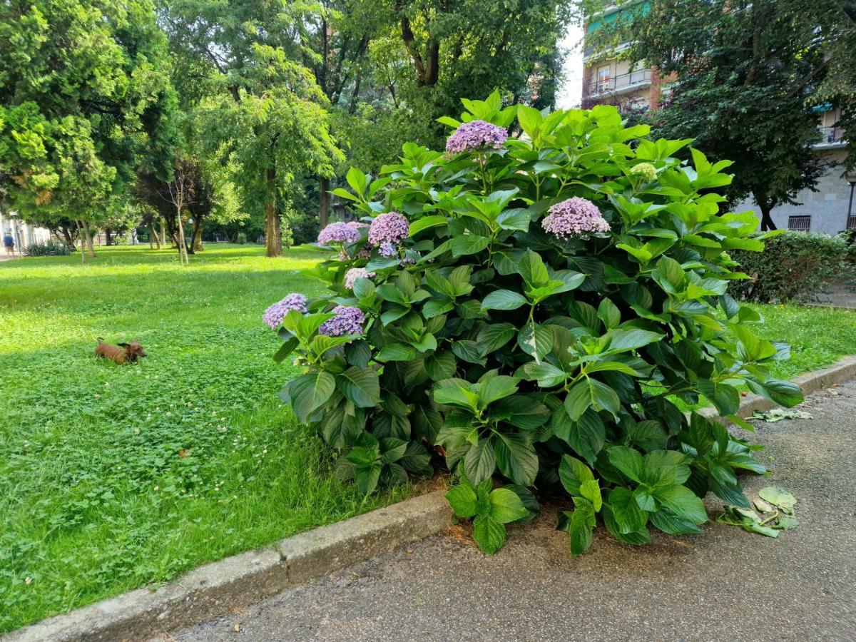 Giardino Sul Naviglio Lägenhet Milano Exteriör bild
